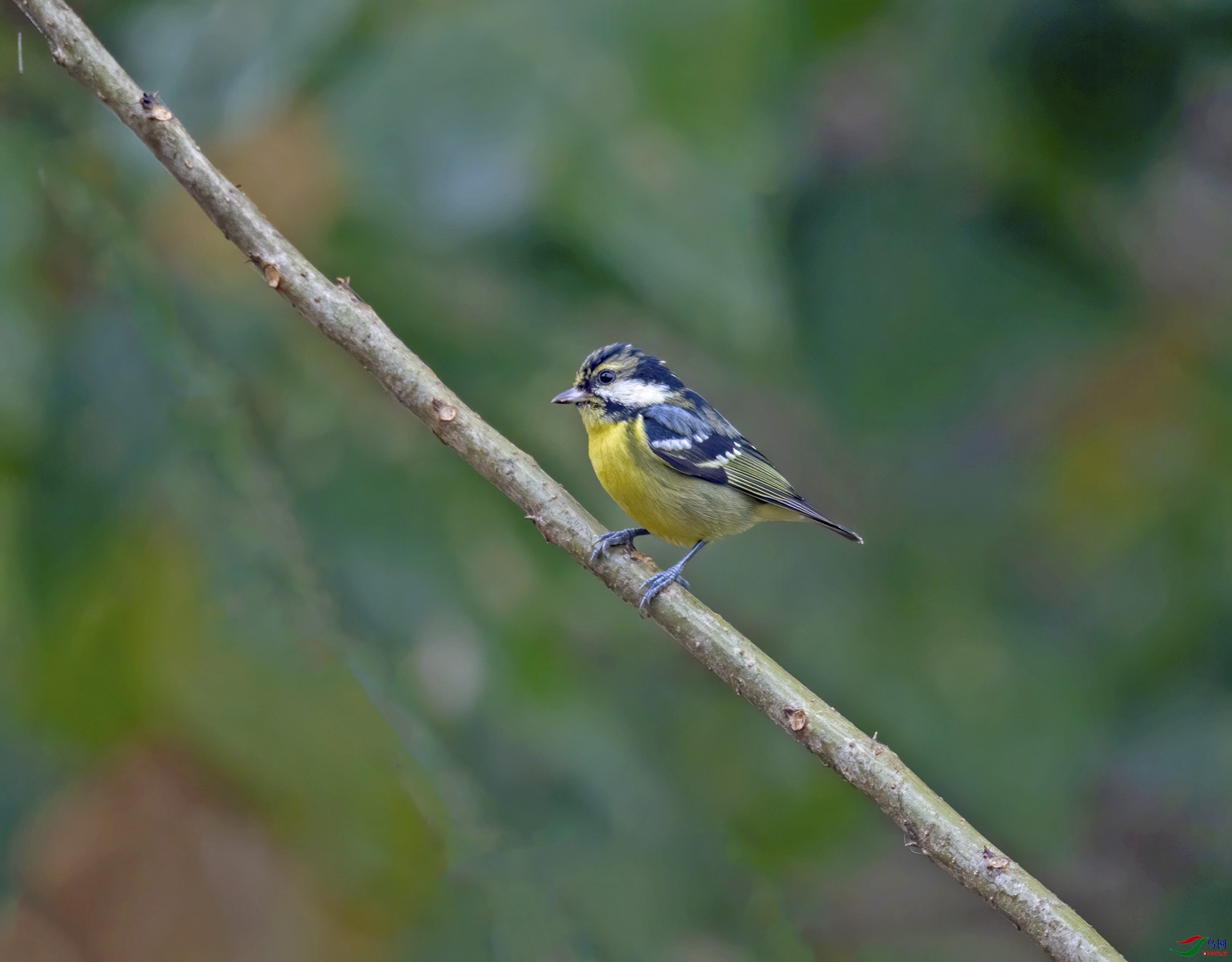 DSC_7065.jpg
