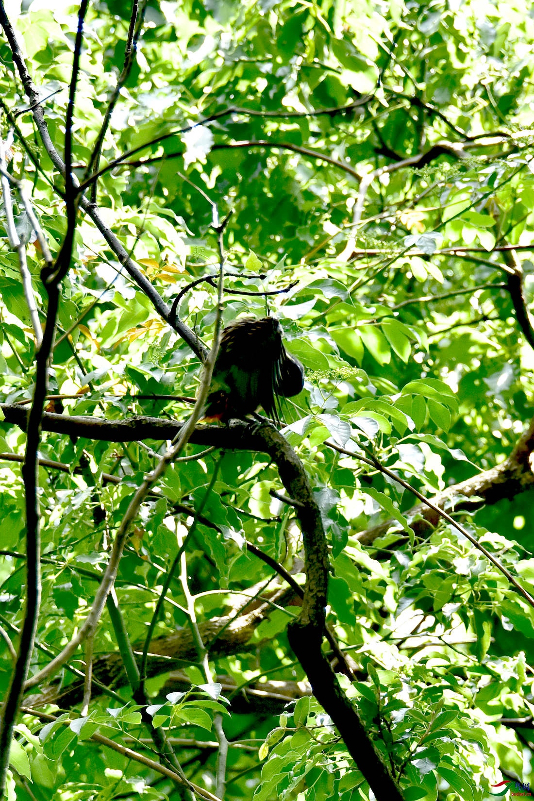 DSC_0250.JPG
