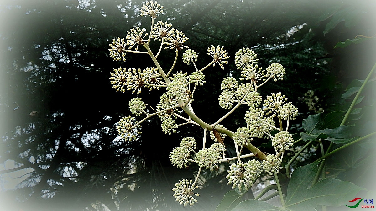PB240147.jpg
