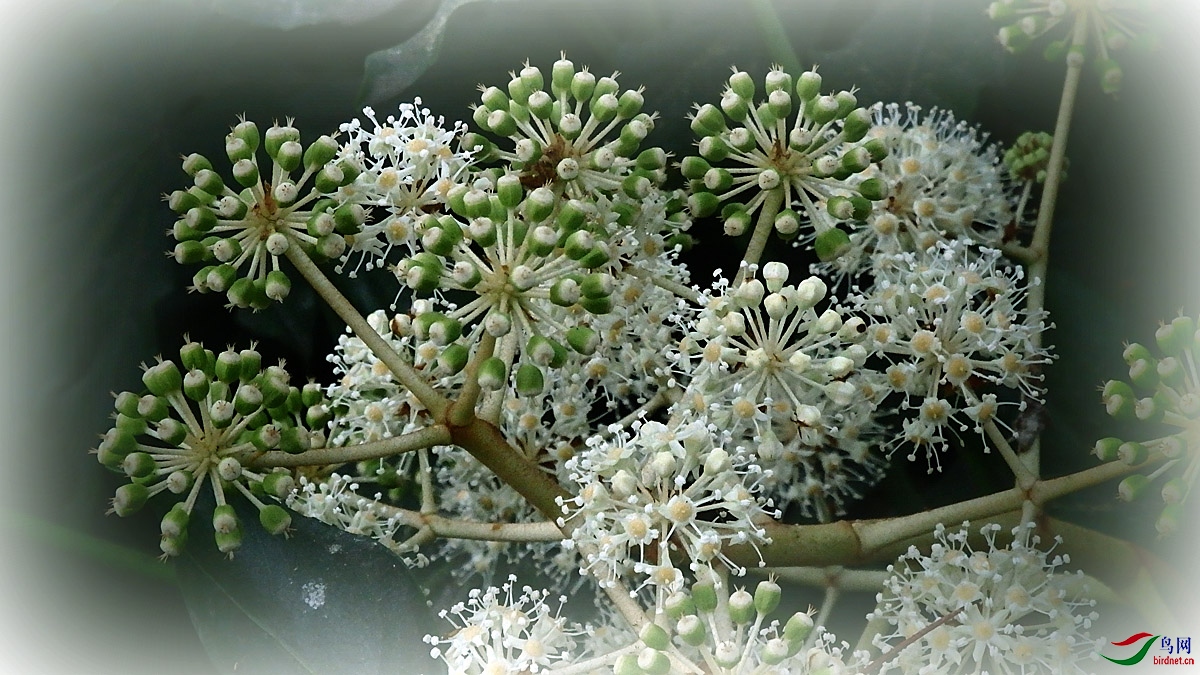 PB240155.jpg