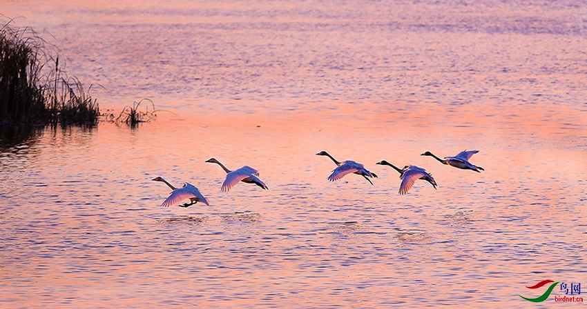 �����ӵ����