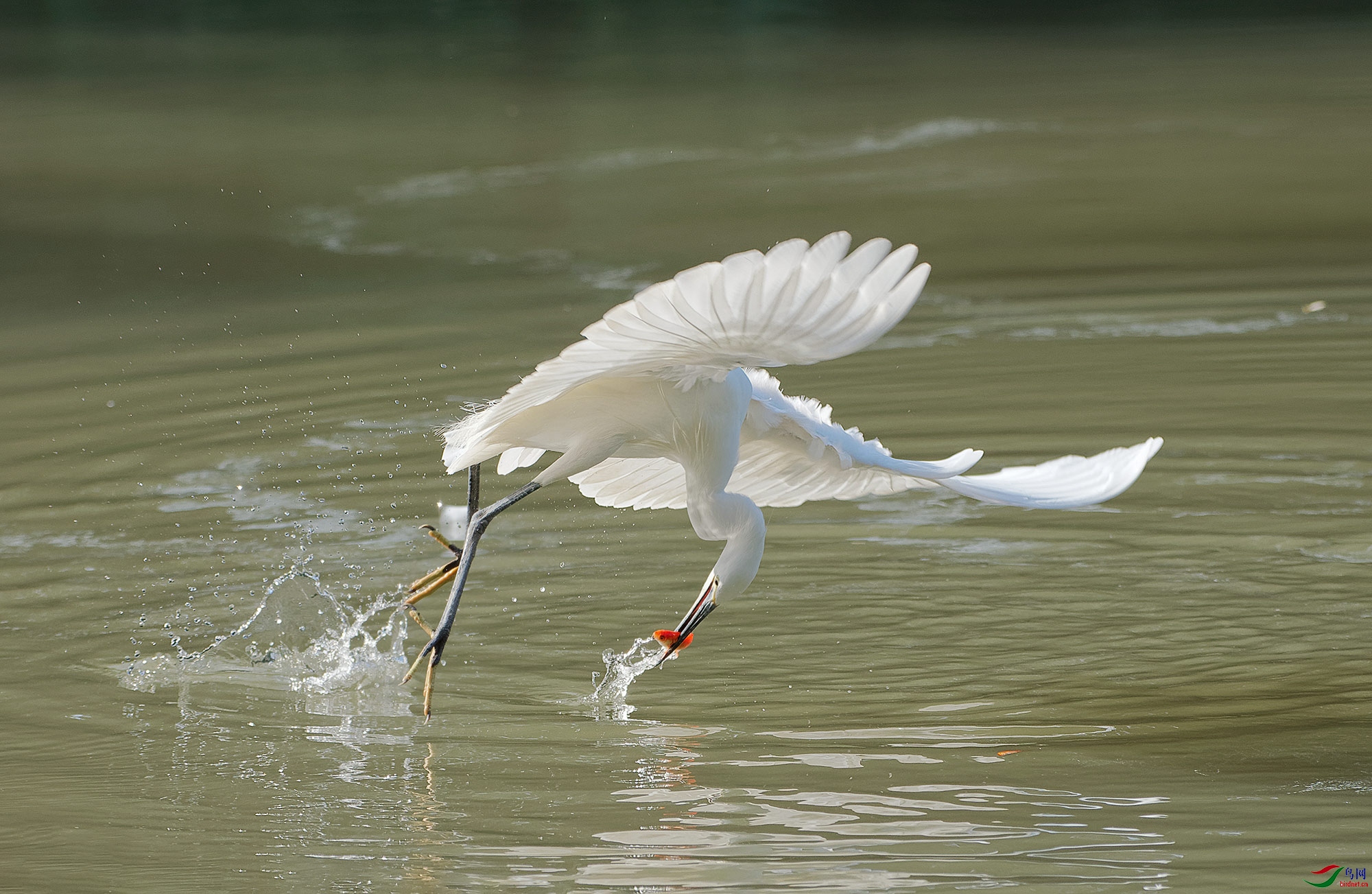 DSC_3437.jpg