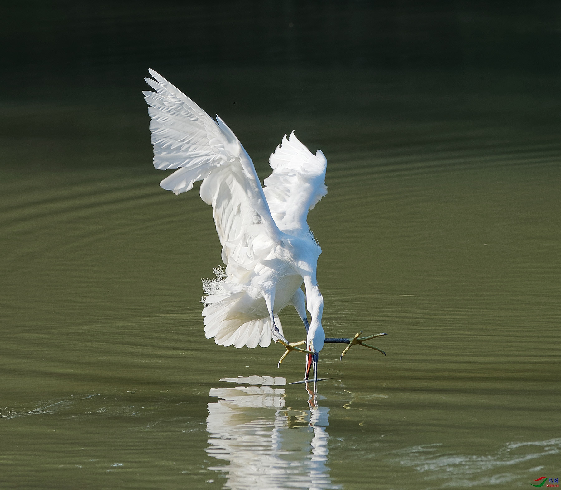 DSC_3969.jpg