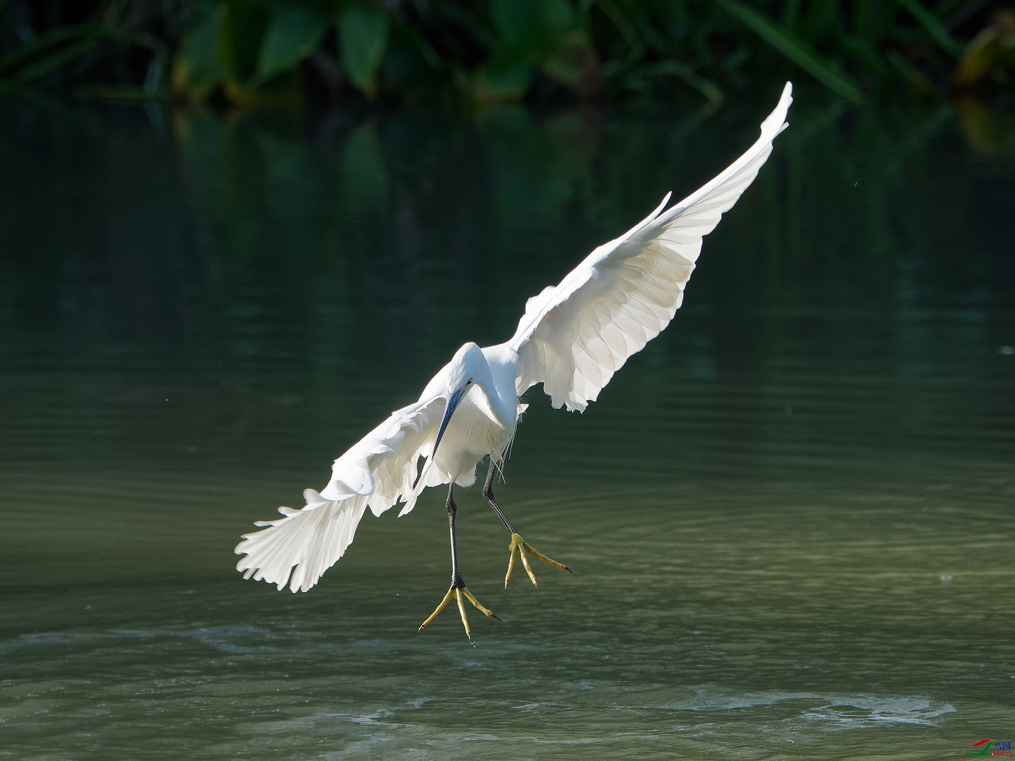 DSC_4066.jpg