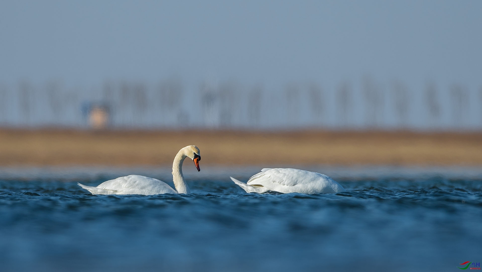 DSC_0699.jpg