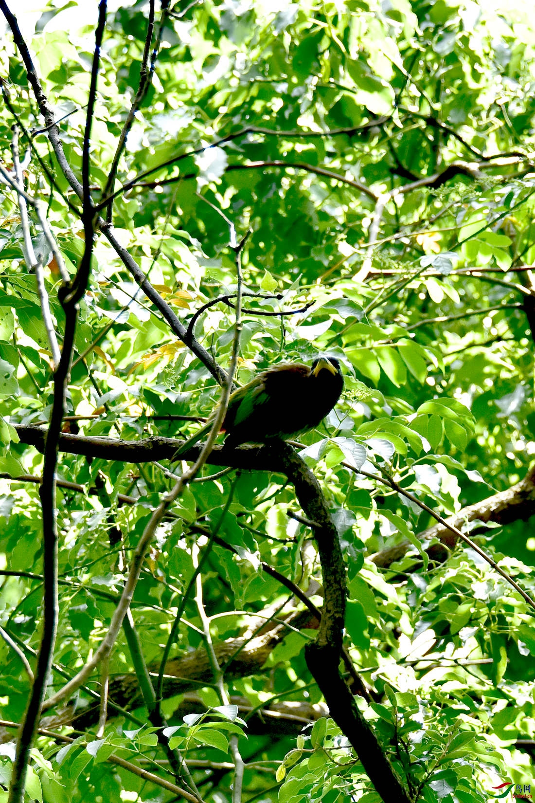 DSC_0255.JPG