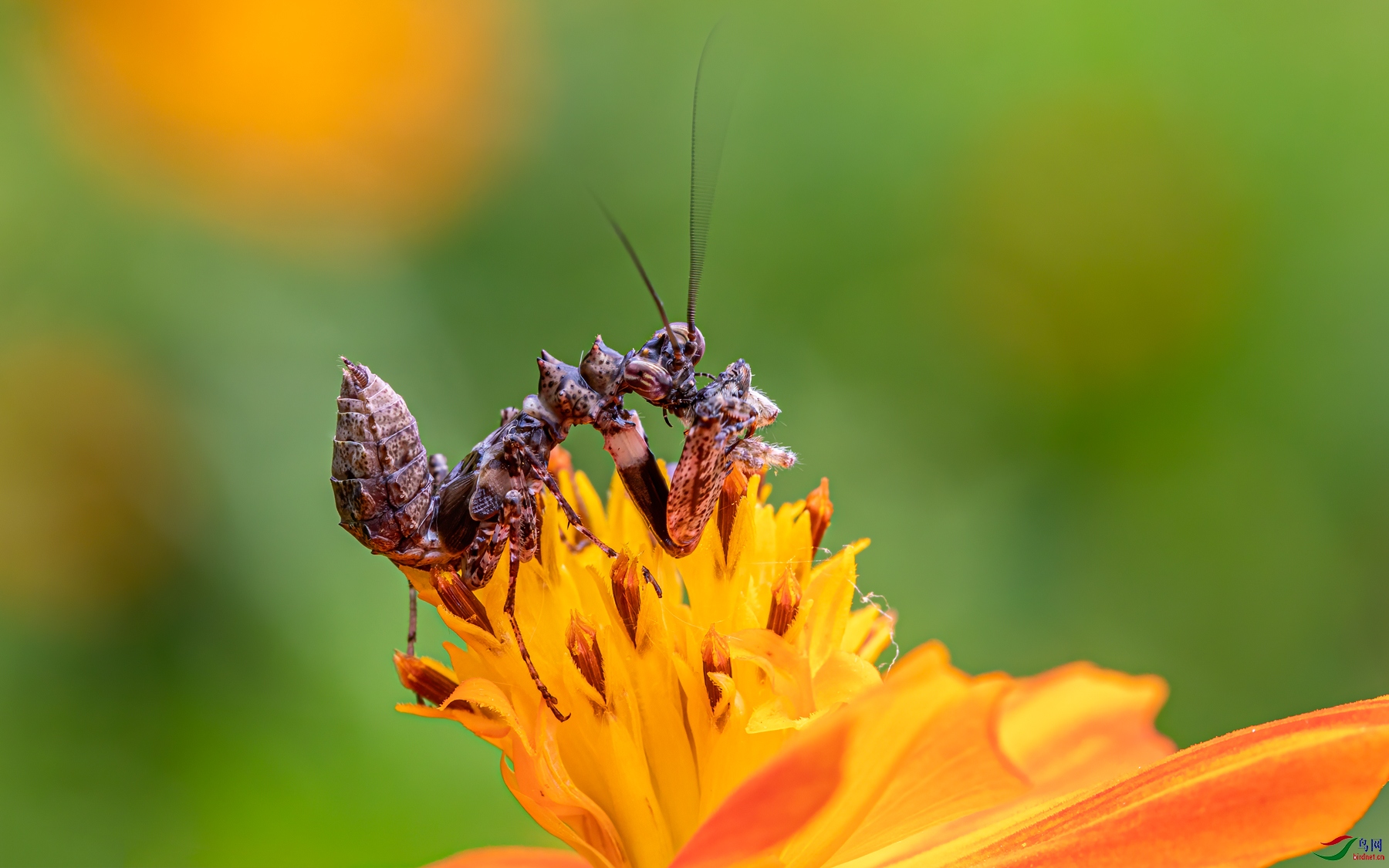 E50A7630.jpg
