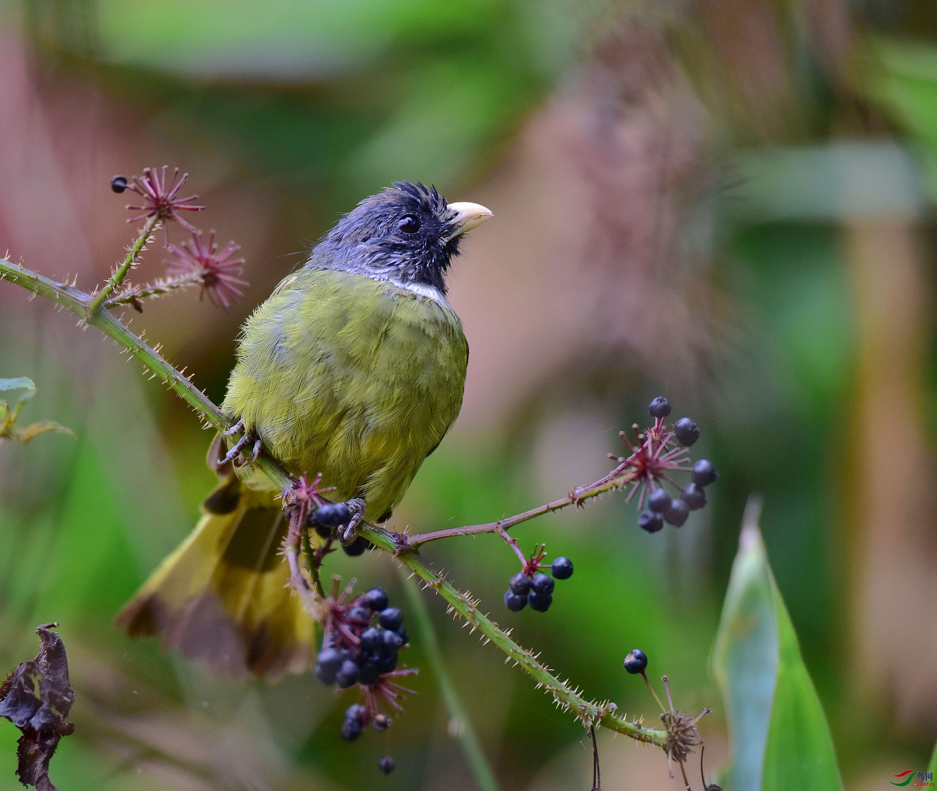 D8I_0419.jpg
