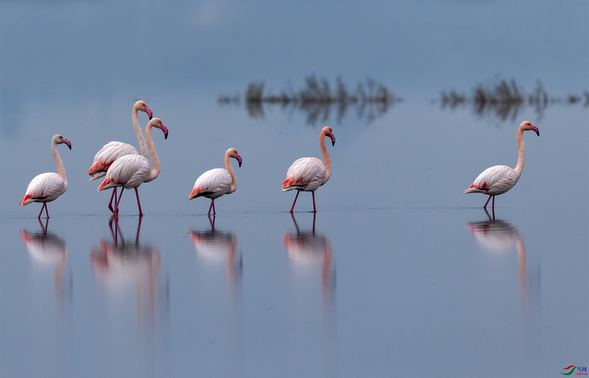 ��ӭ��12��