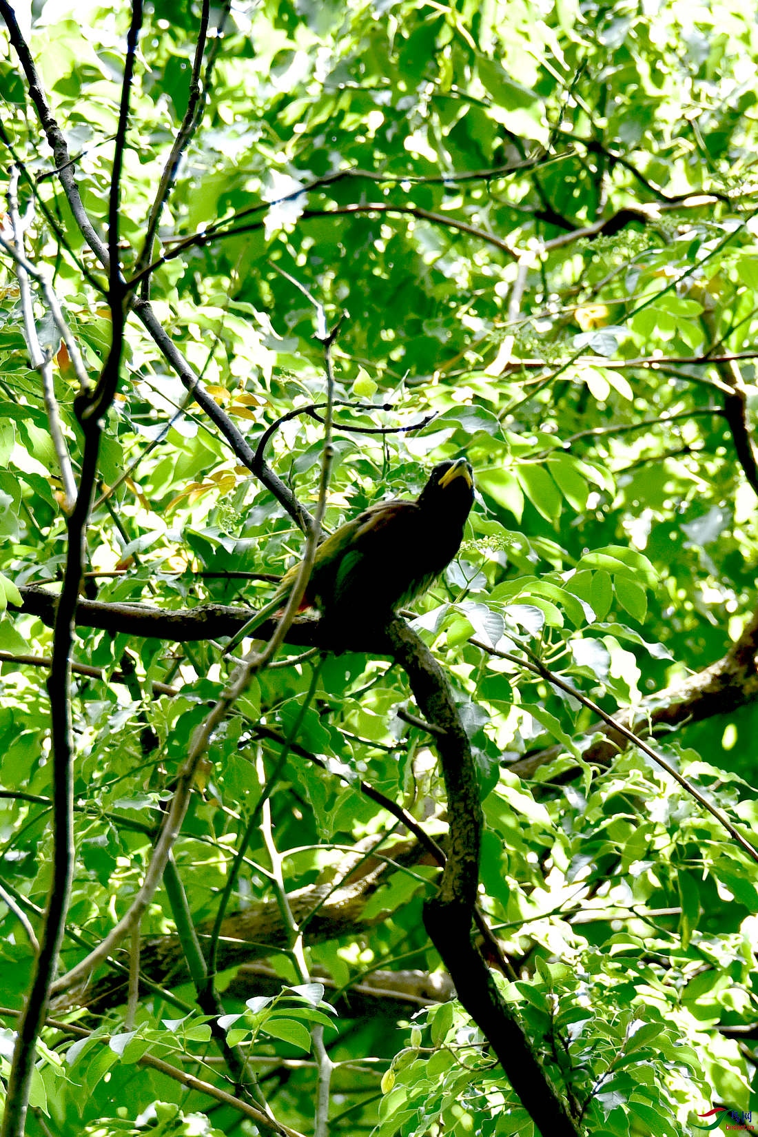 DSC_0258.JPG