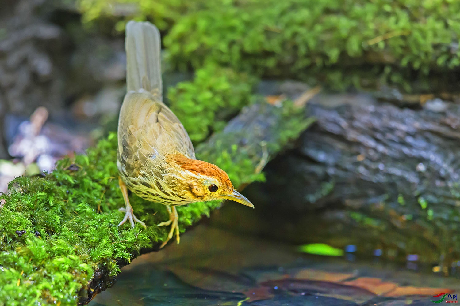 ���ؾ��� (2).jpg