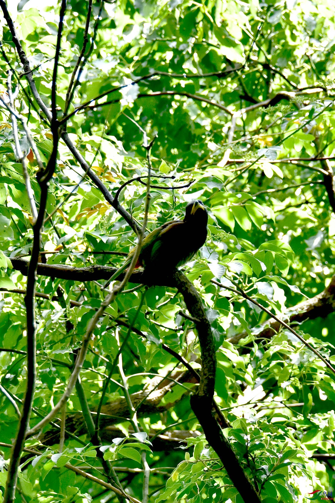 DSC_0261.JPG