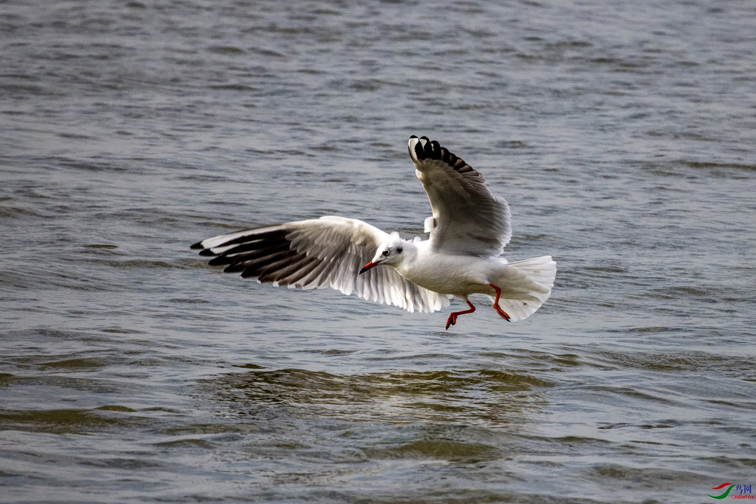 R5__9926_DxO.jpg