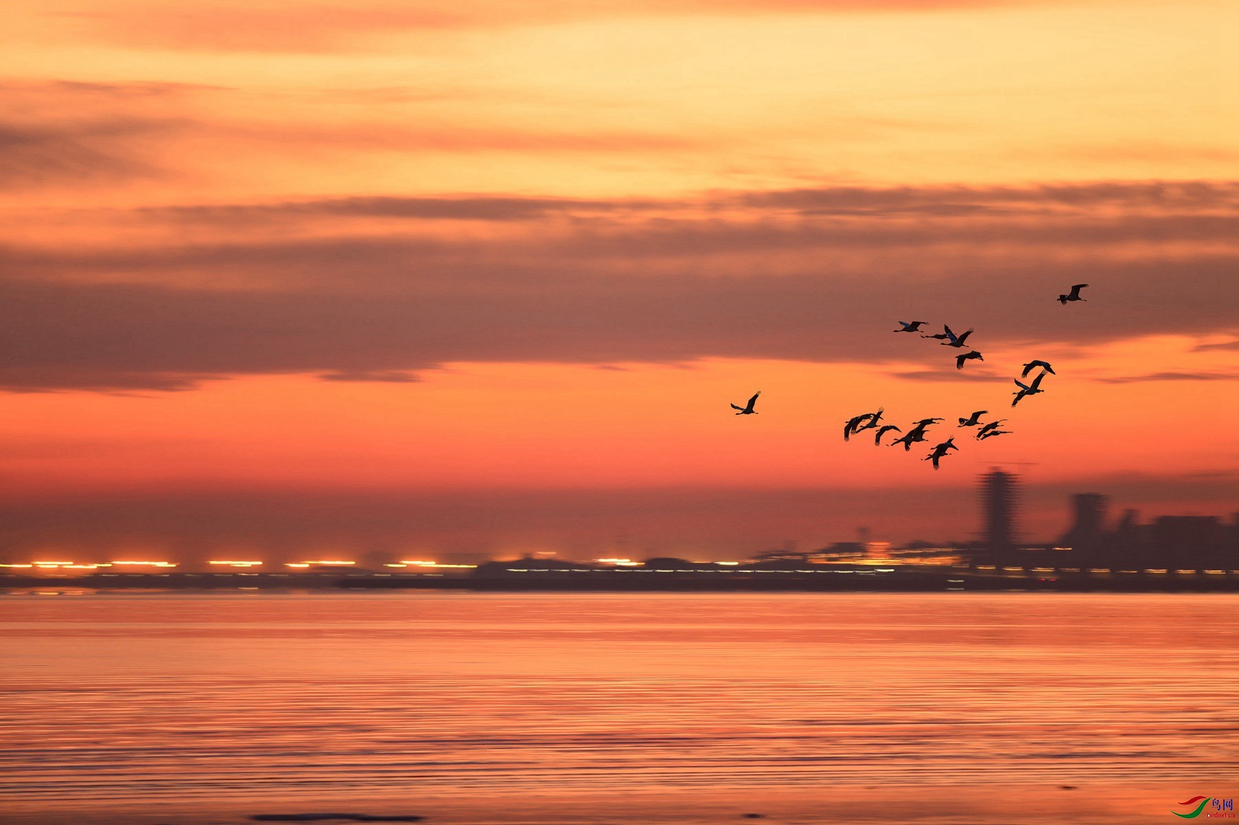 LYK_8840 ���� 2_����.jpg