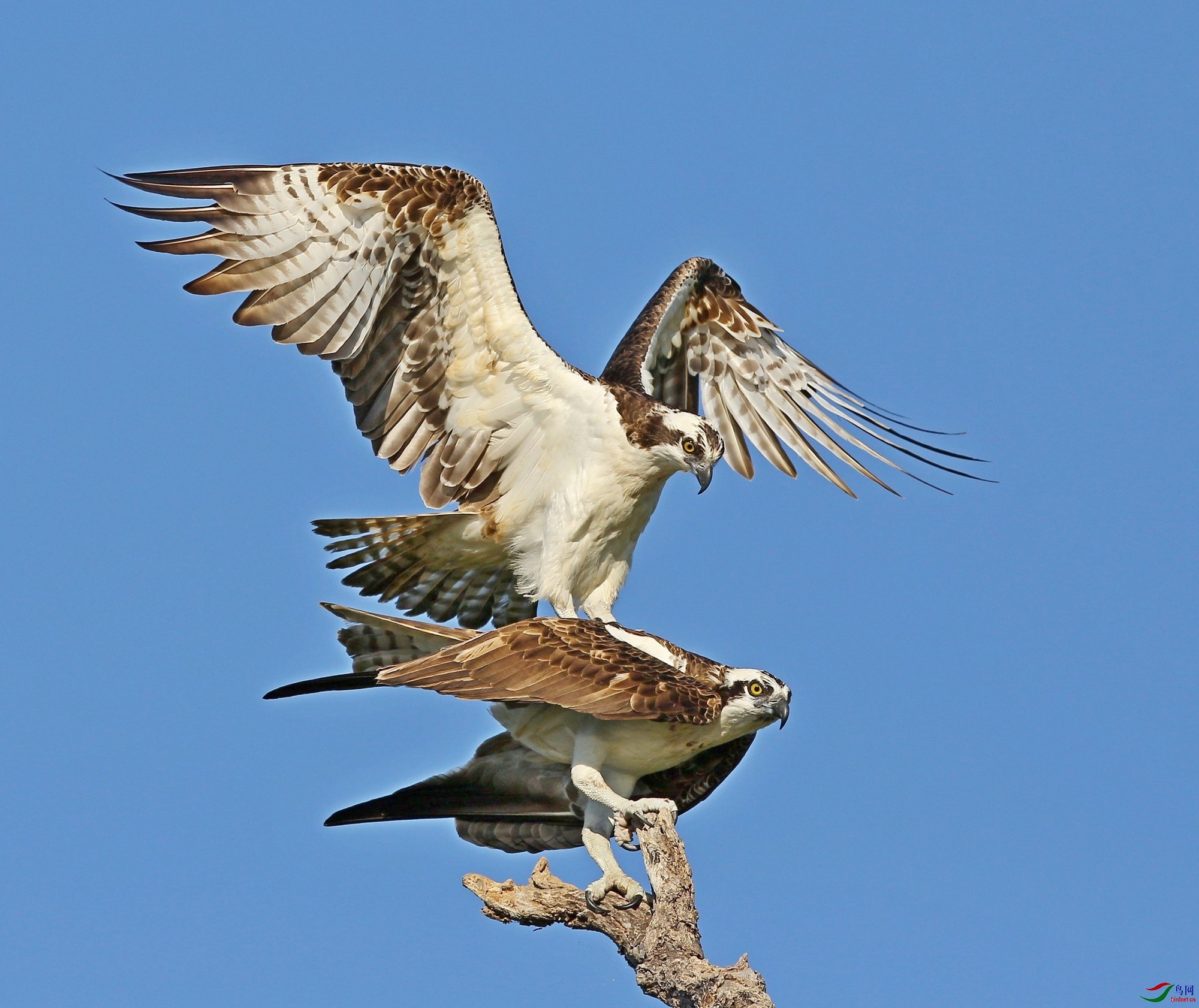 li20190108 (128).jpg