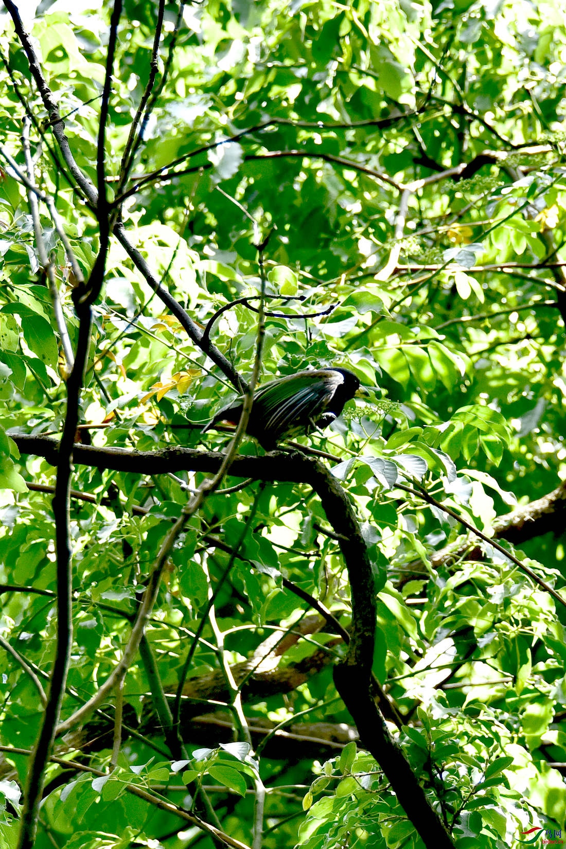 DSC_0267.JPG