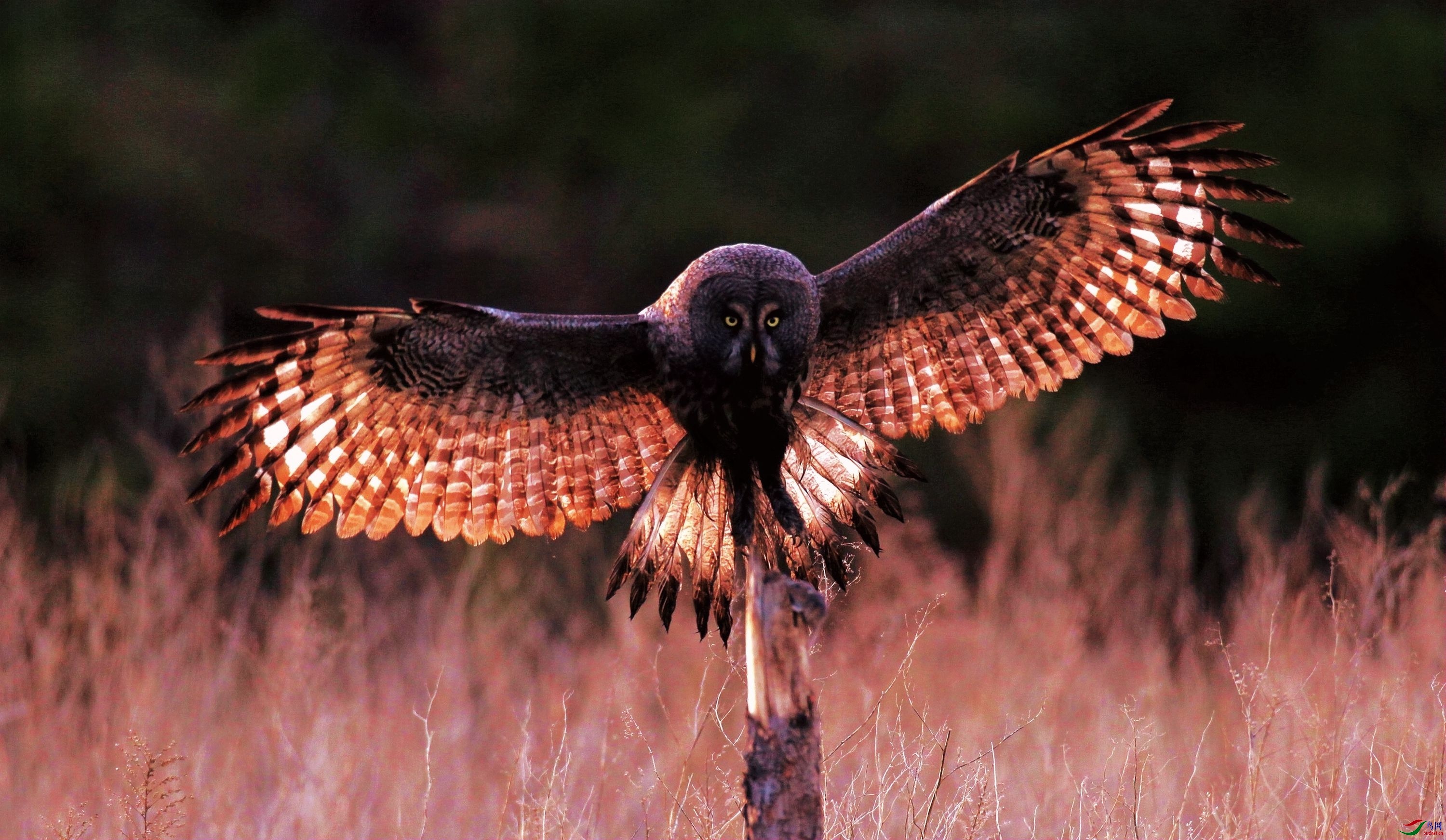 AK2Y2150_2000 (3).jpg