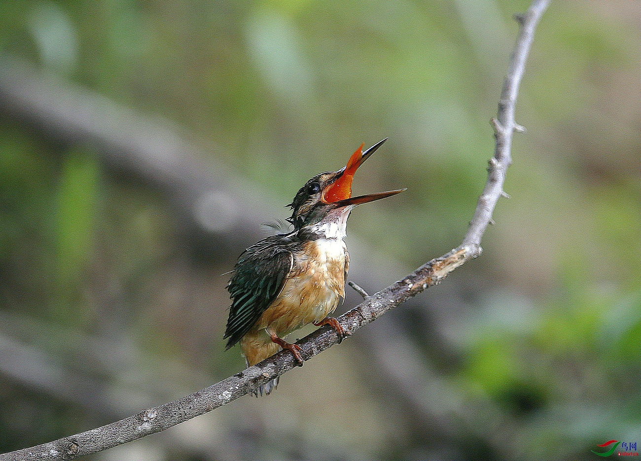 02 - 1����.jpg