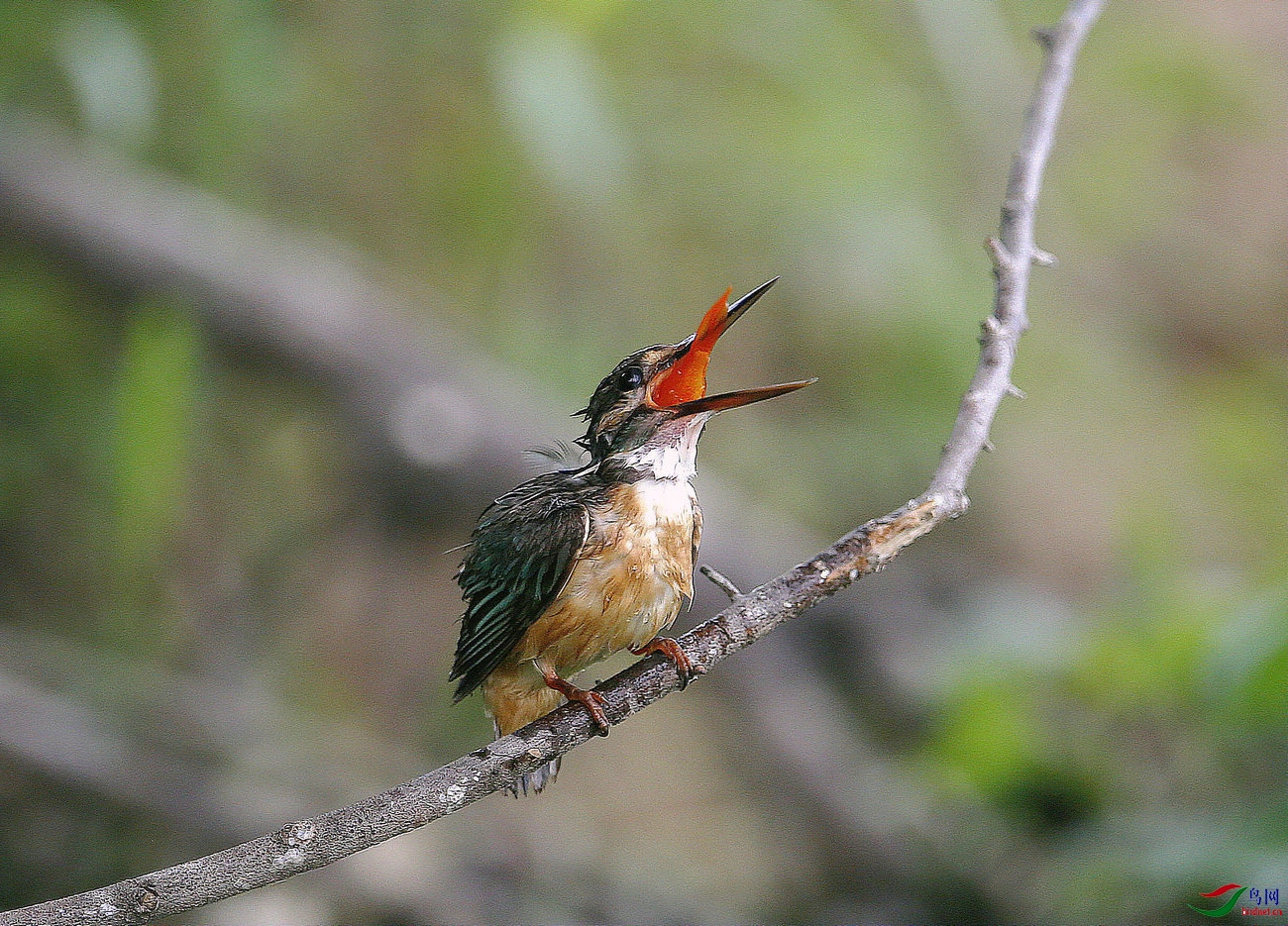 04 - 1����.jpg