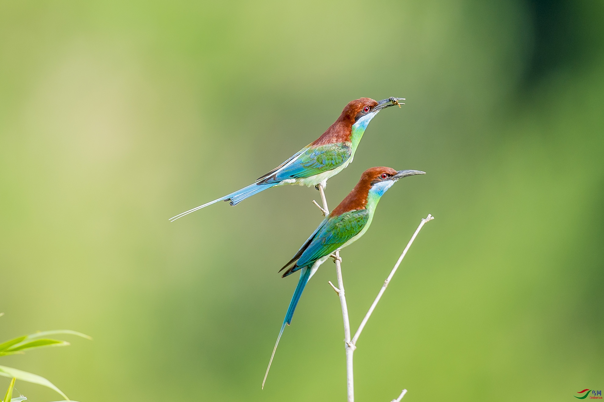 DSC_6248_��ͼ��.jpg