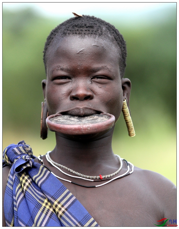 非洲嘴巴圆盘图片