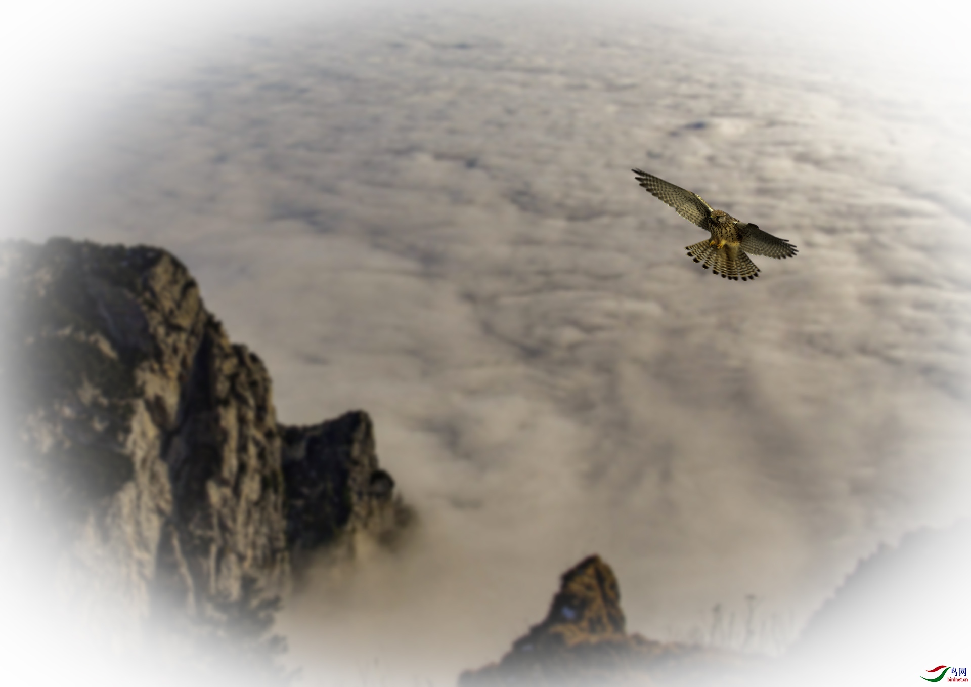 Զ������ 1920x500k.jpg