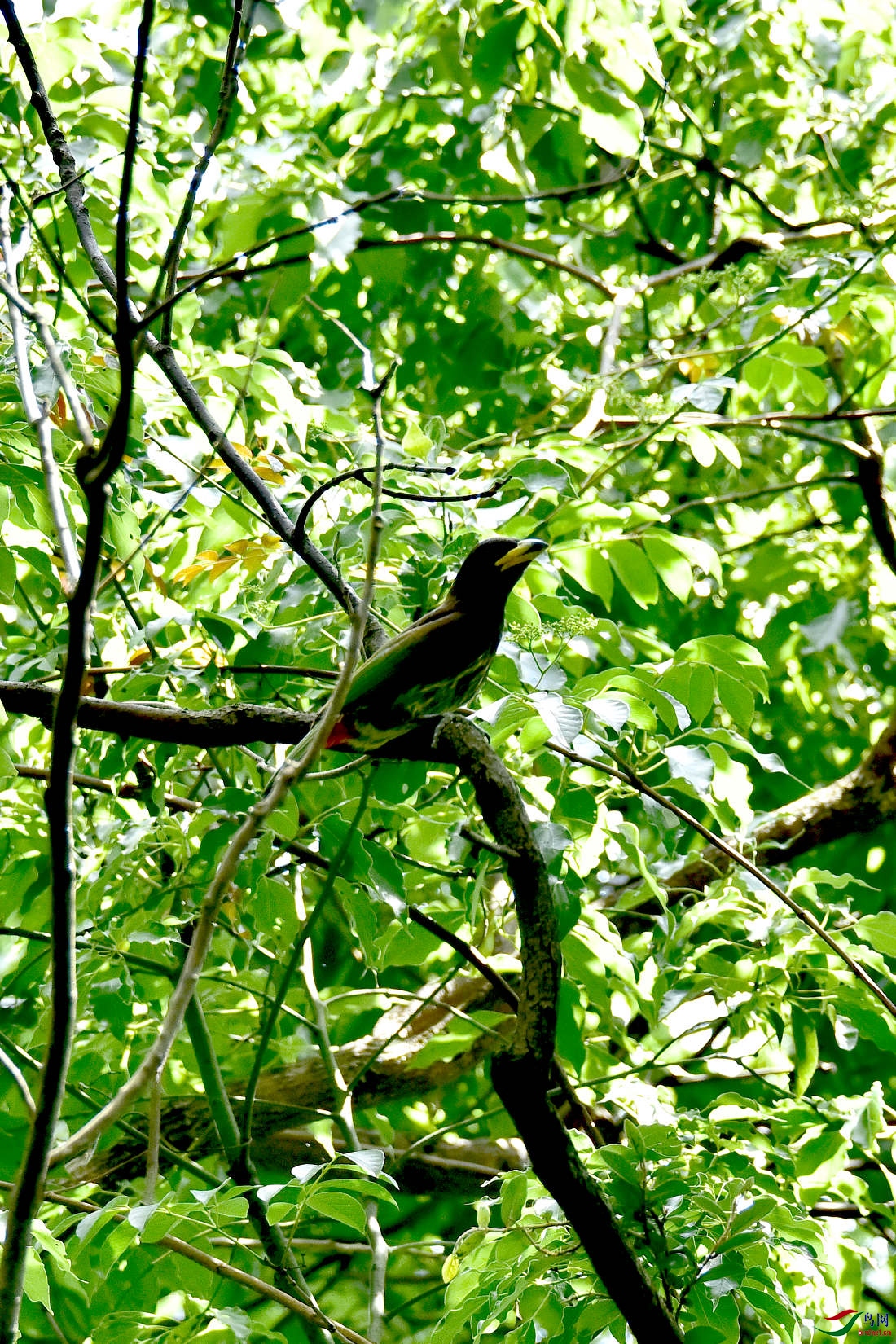 DSC_0274.JPG
