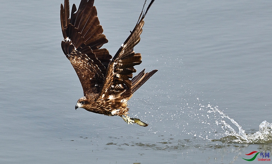 ����ӿںڶ��