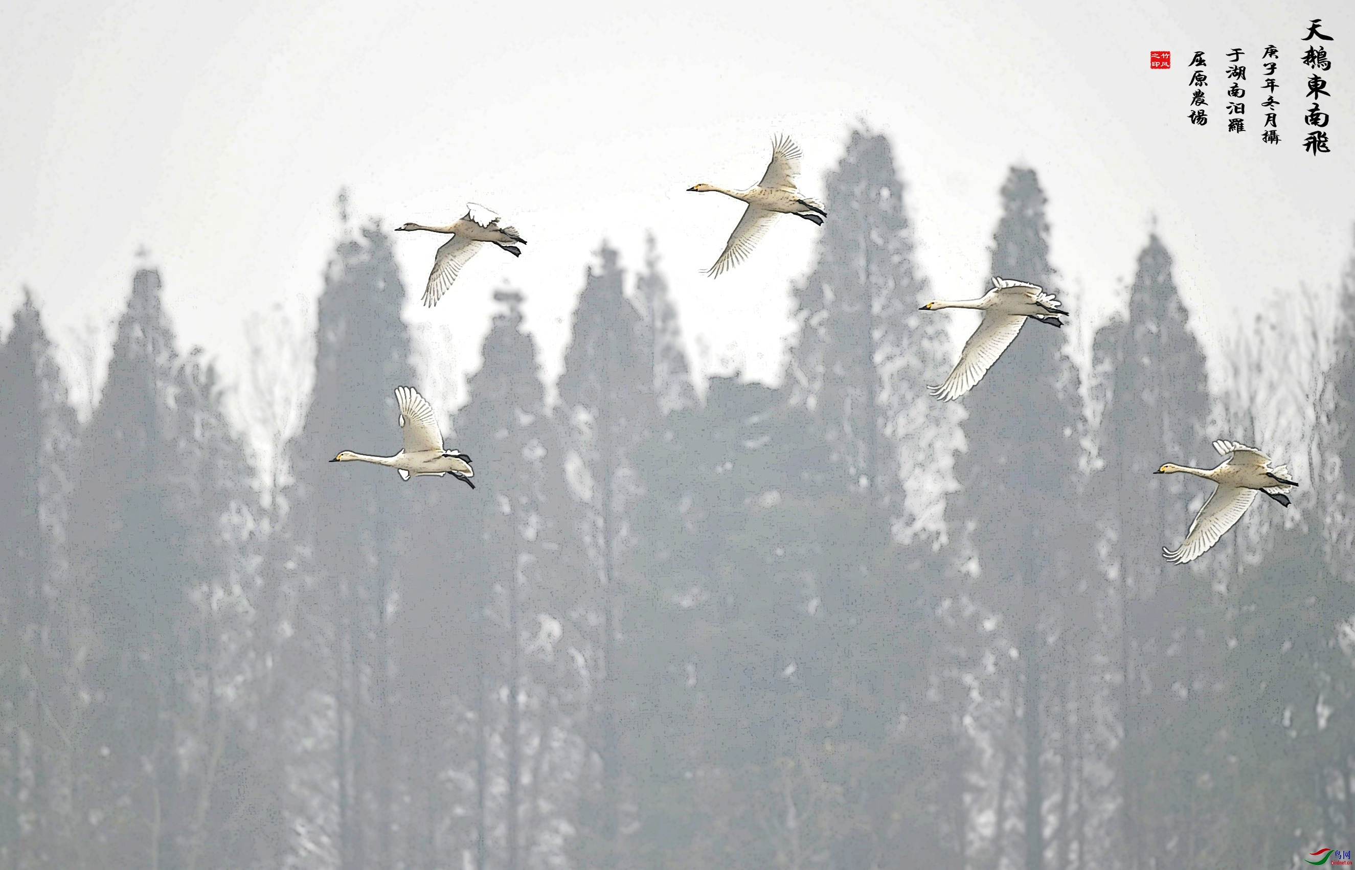 �¹���  ���湤��д��