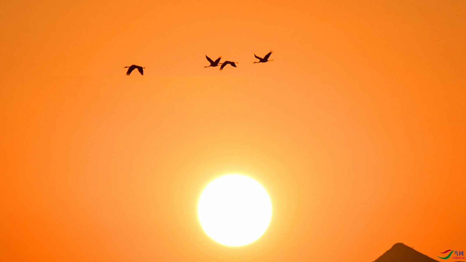 Bandari - ��Խɽ����������.00_00_20_01.Still002_����.jpg