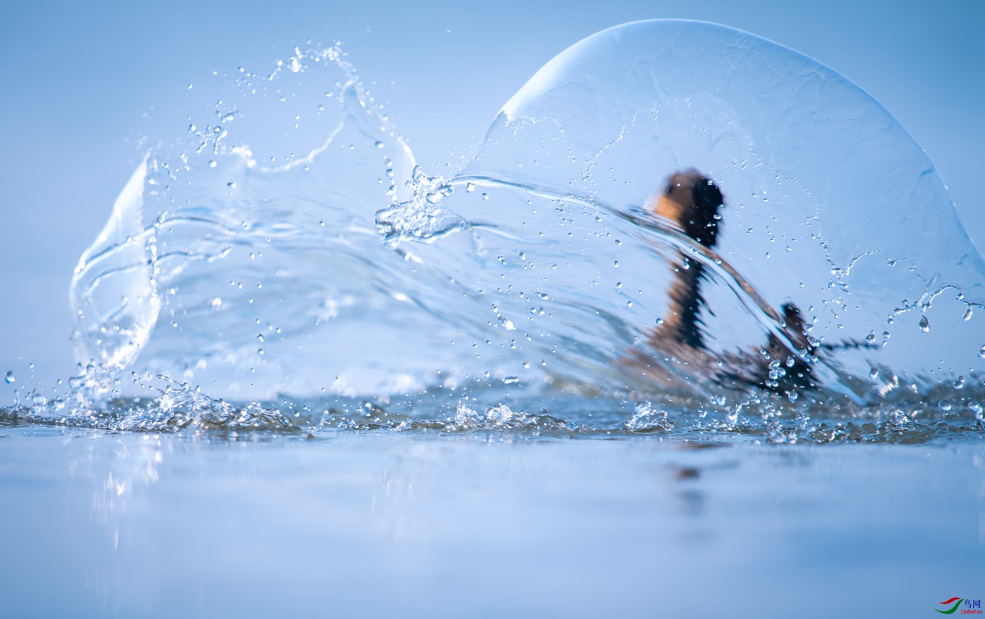 ZXC_8221-3 ����.jpg