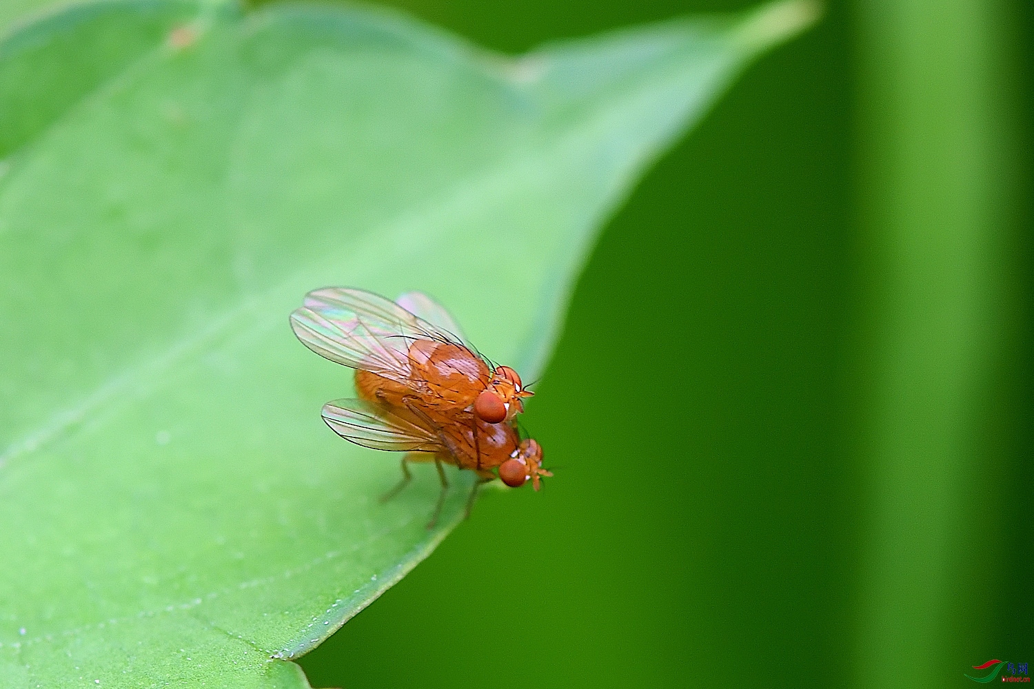 DSC_6959_00001.jpg