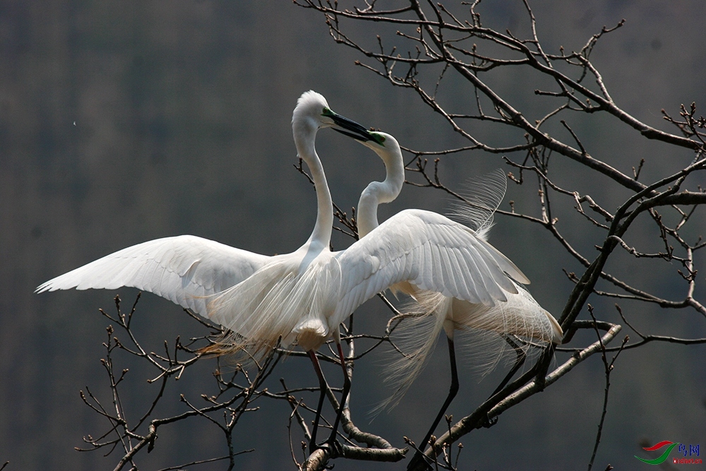 �����еİ���