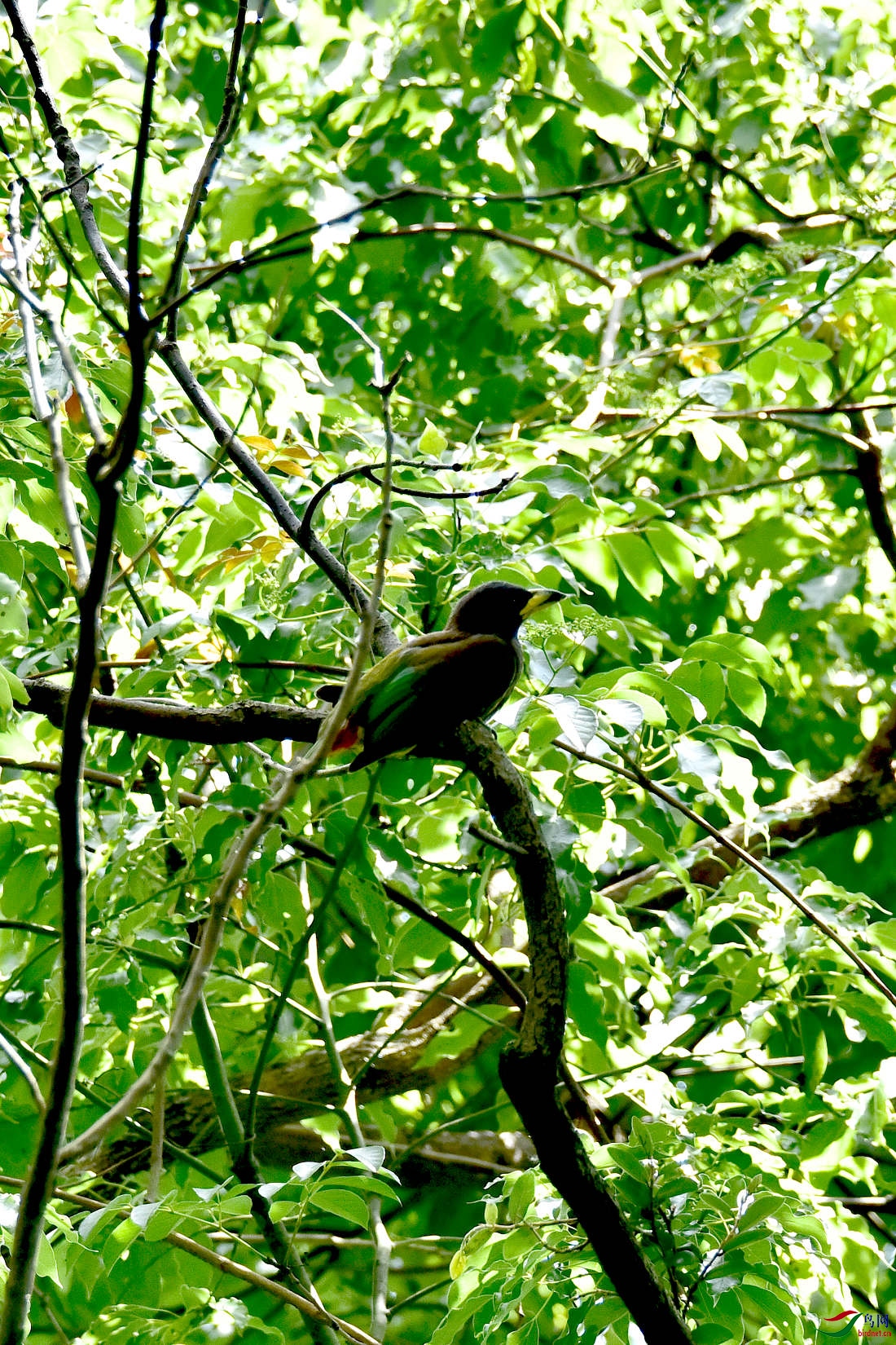 DSC_0281.JPG