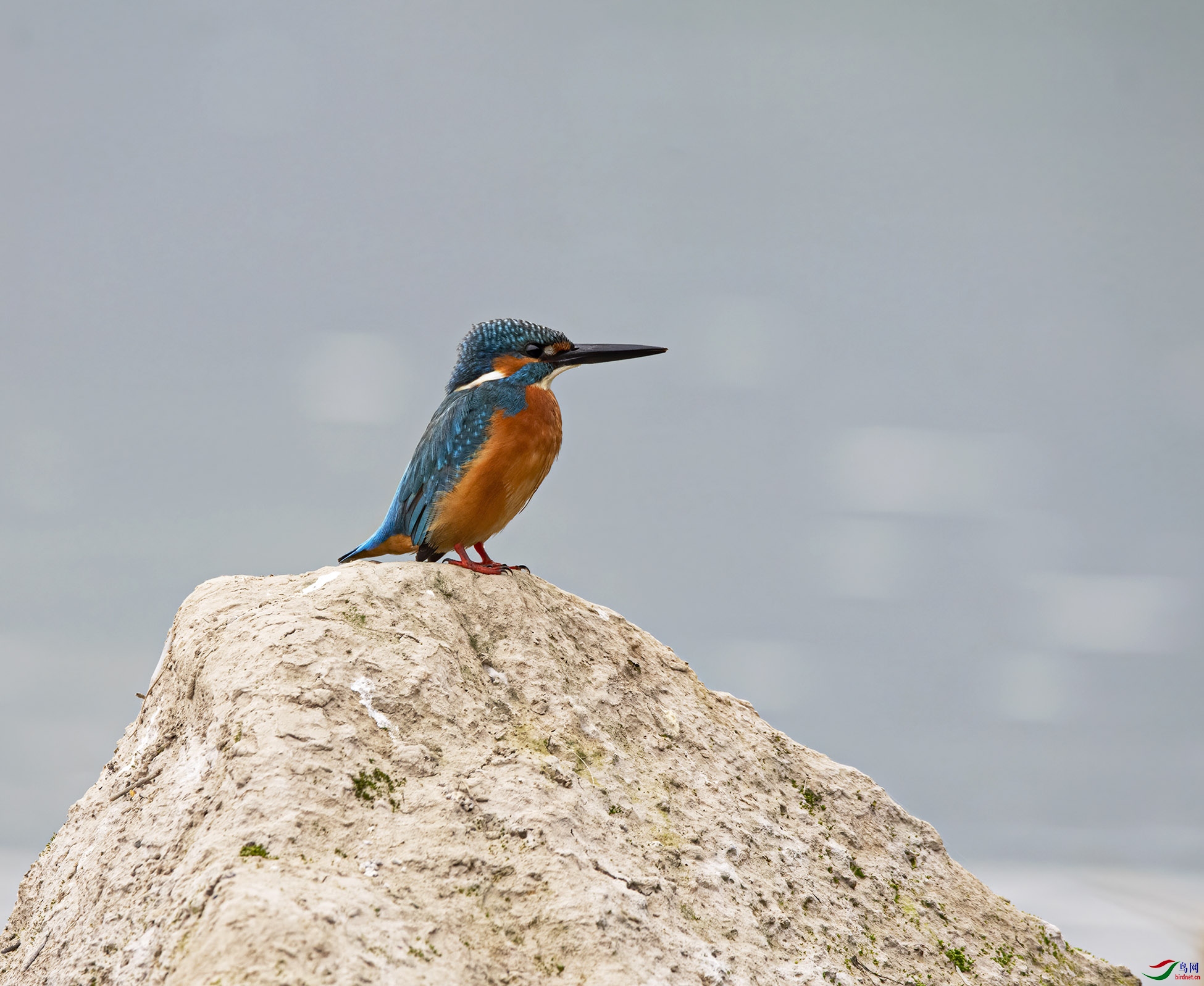 DSC_6614.jpg