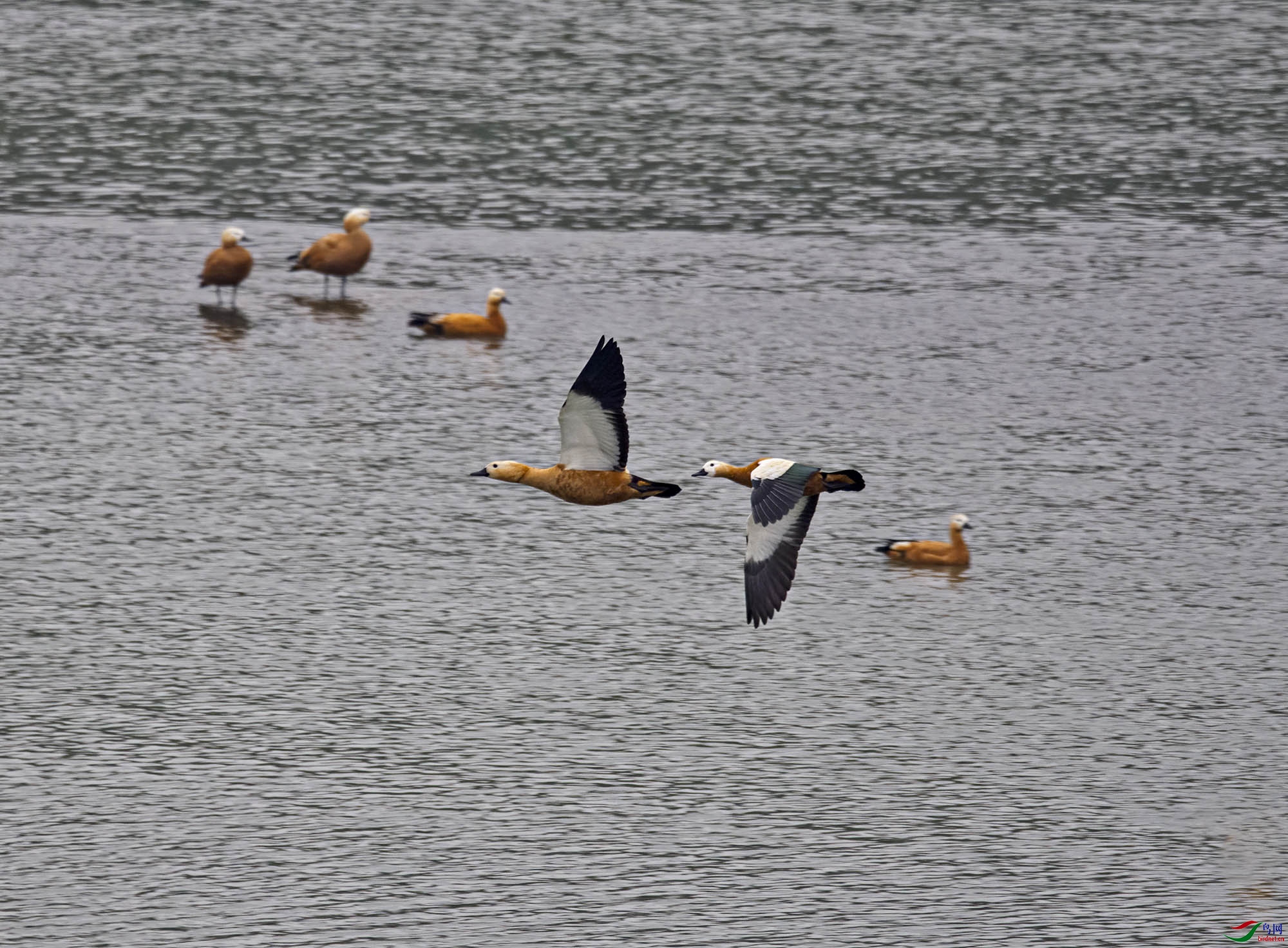 DSC_7659.jpg