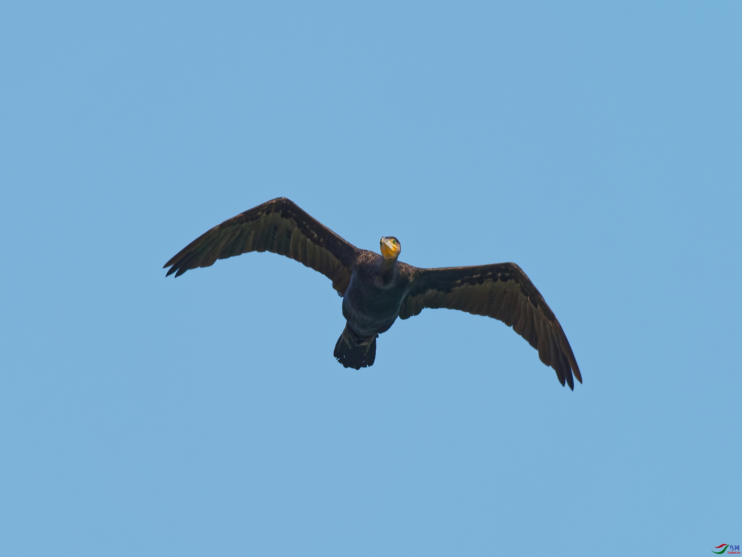 PB120310_DxO-sd2.jpg
