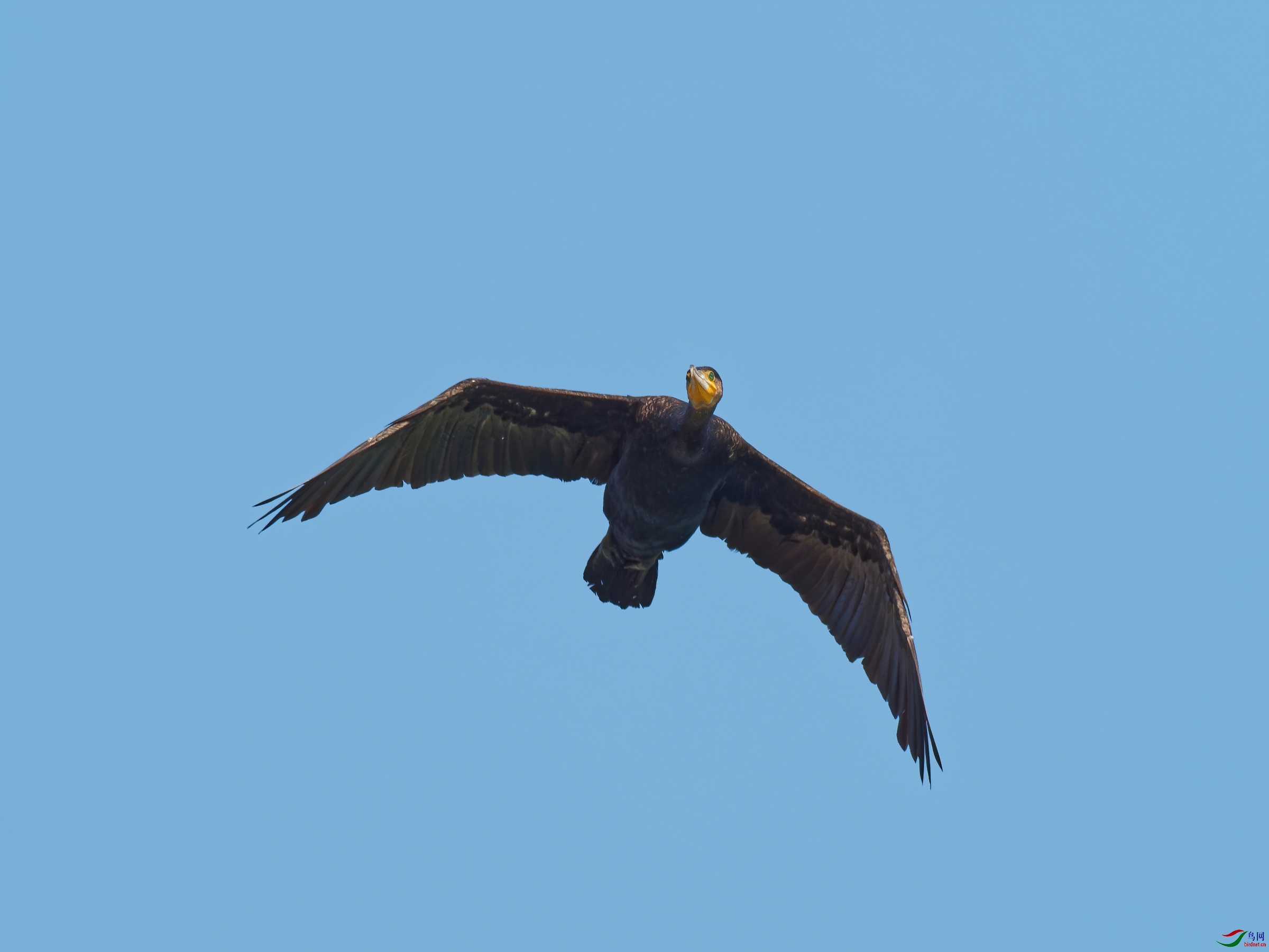 PB120312_DxO-sd2.jpg