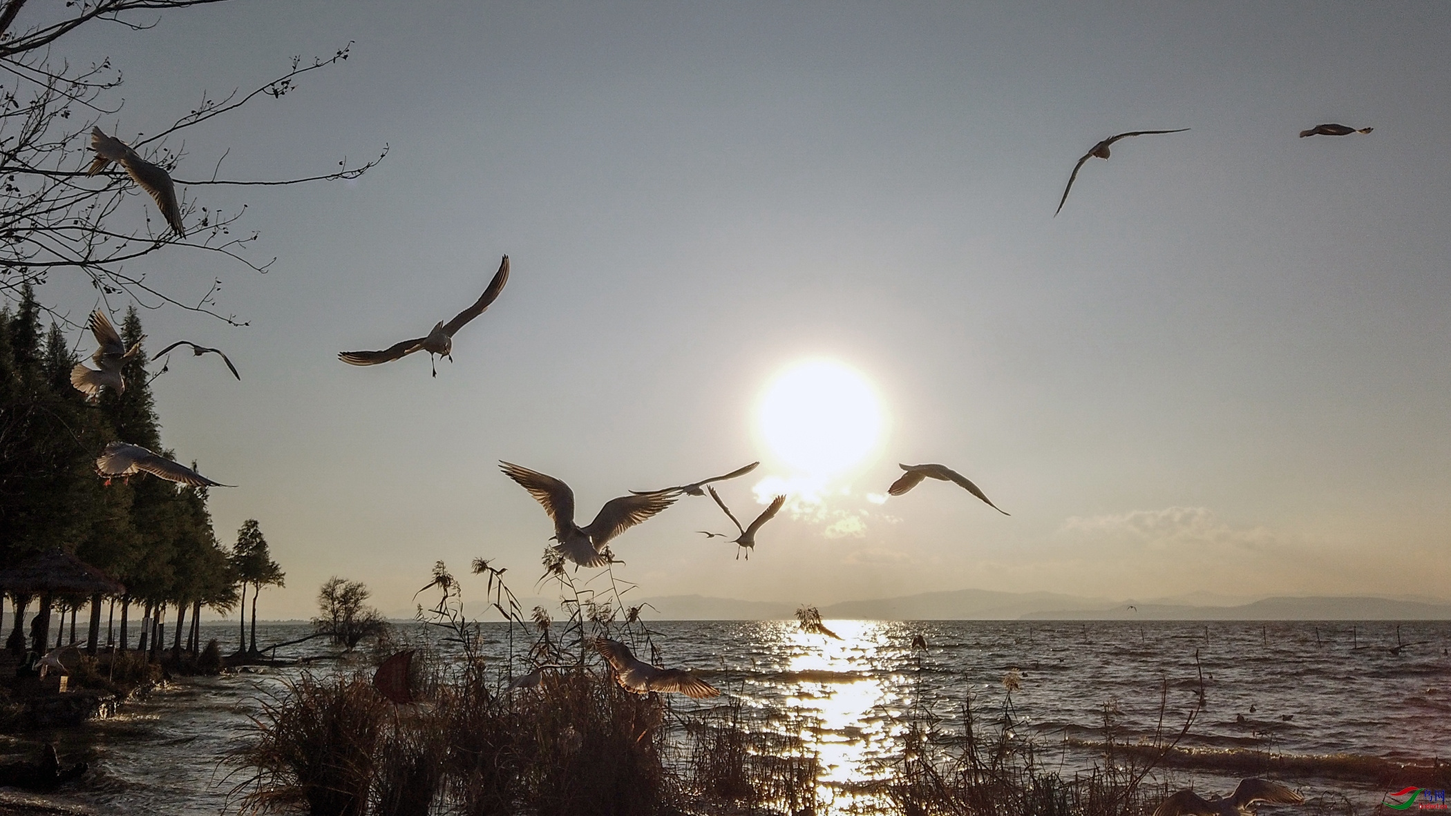 DJI_0394_����.jpg