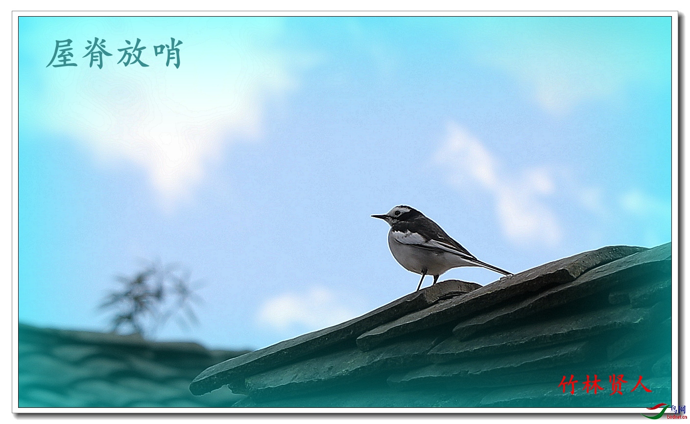 �ݼ�����