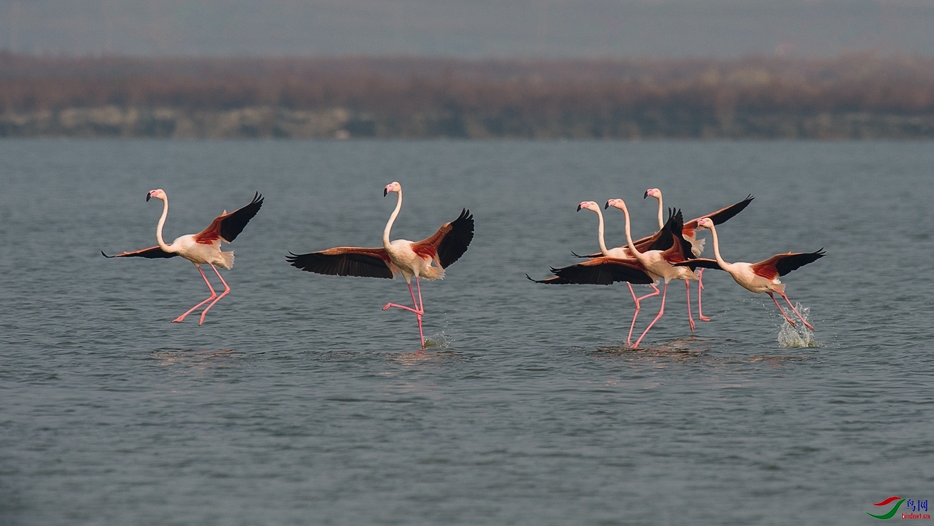 XCG_9857 - ����.jpg