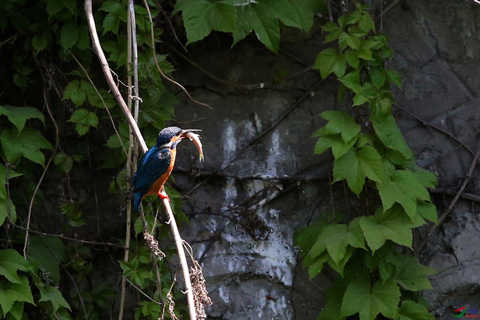 DJ4W0090����2.jpg