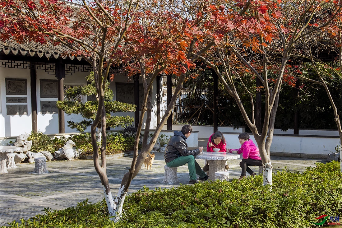 _DSC4369小聚.jpg