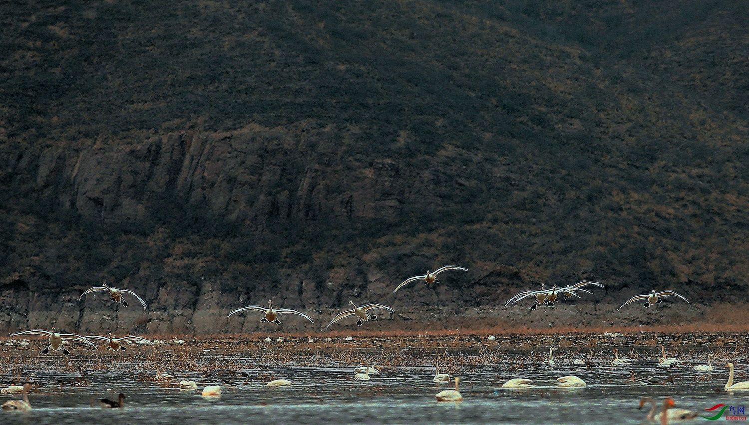 4 -  ������� = ���.jpg