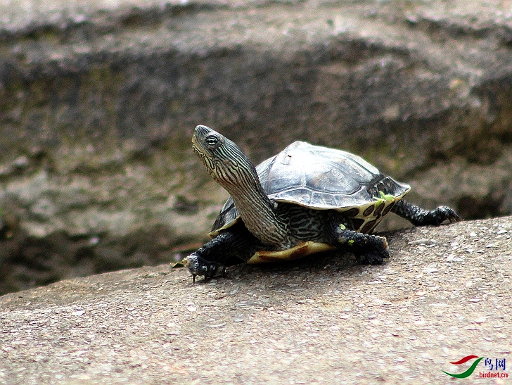 IMG_0060.jpg