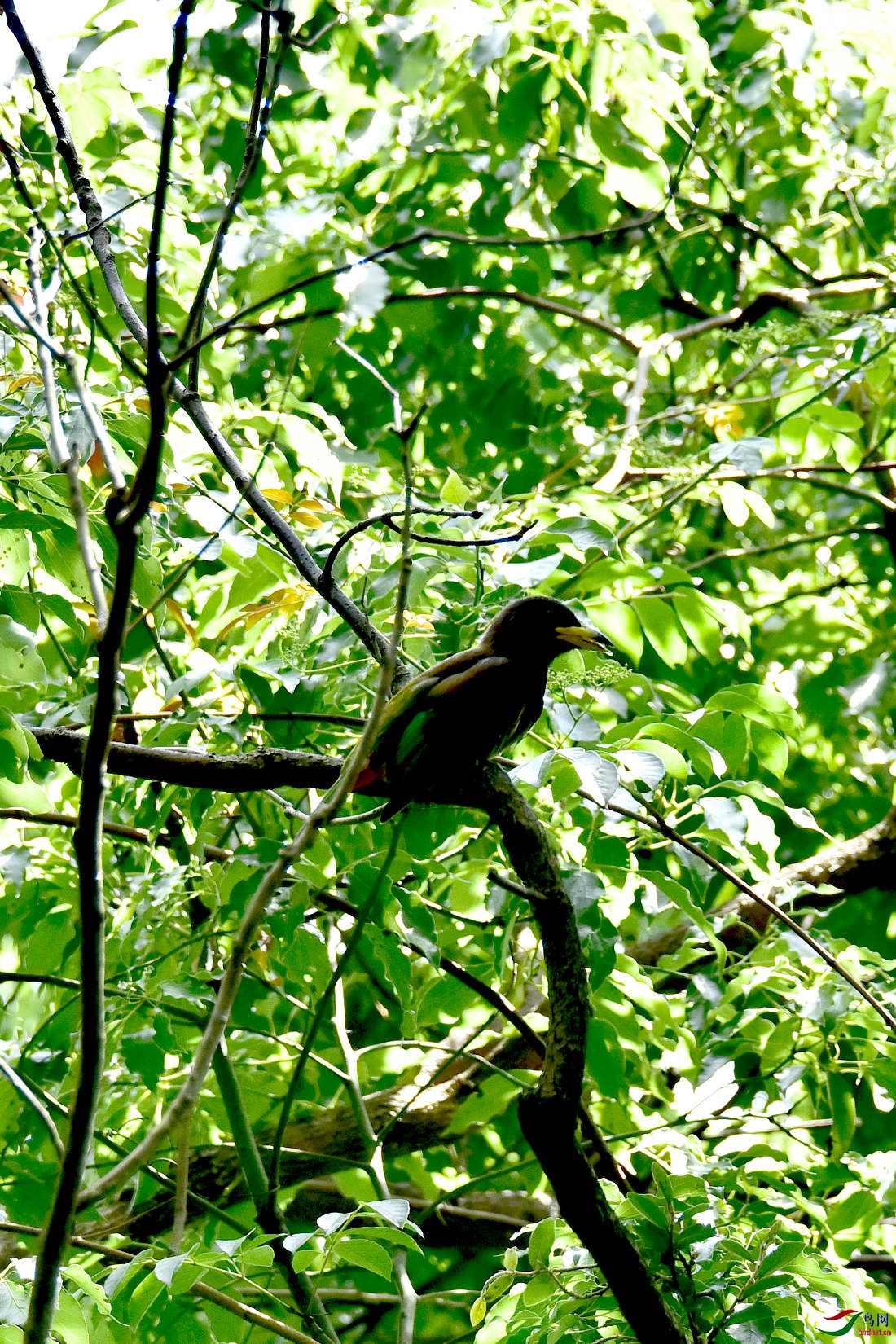 DSC_0296.JPG