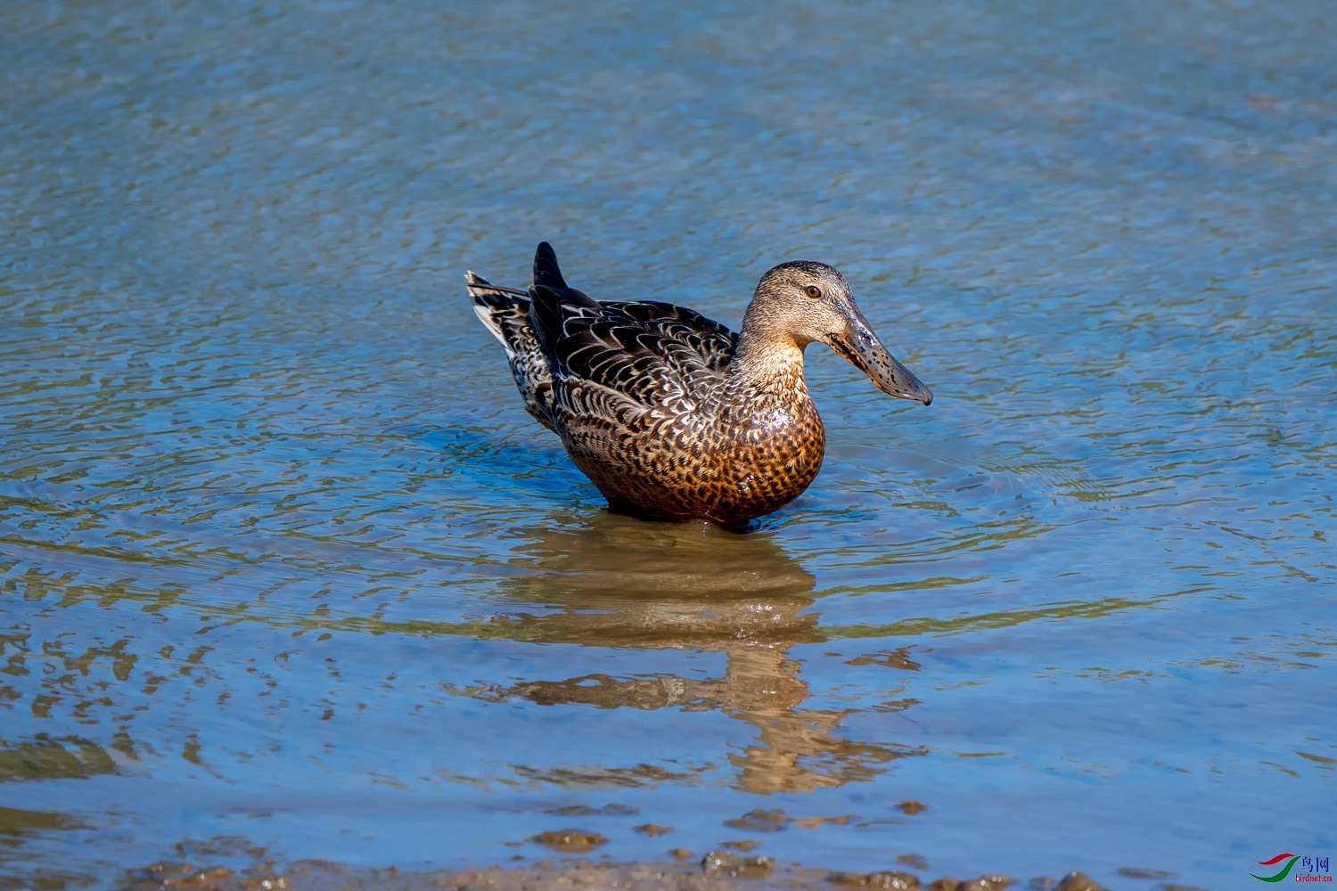 DZ_06349a.jpg