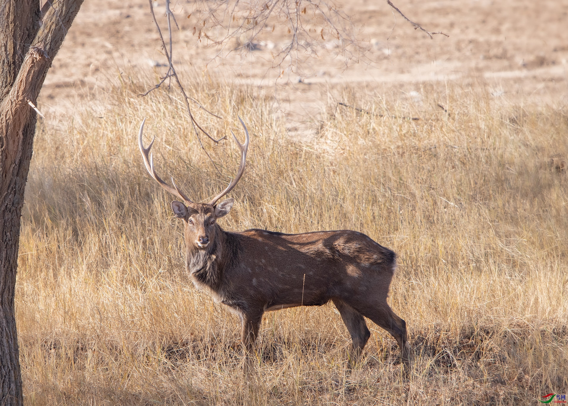 DSC_7193С.jpg