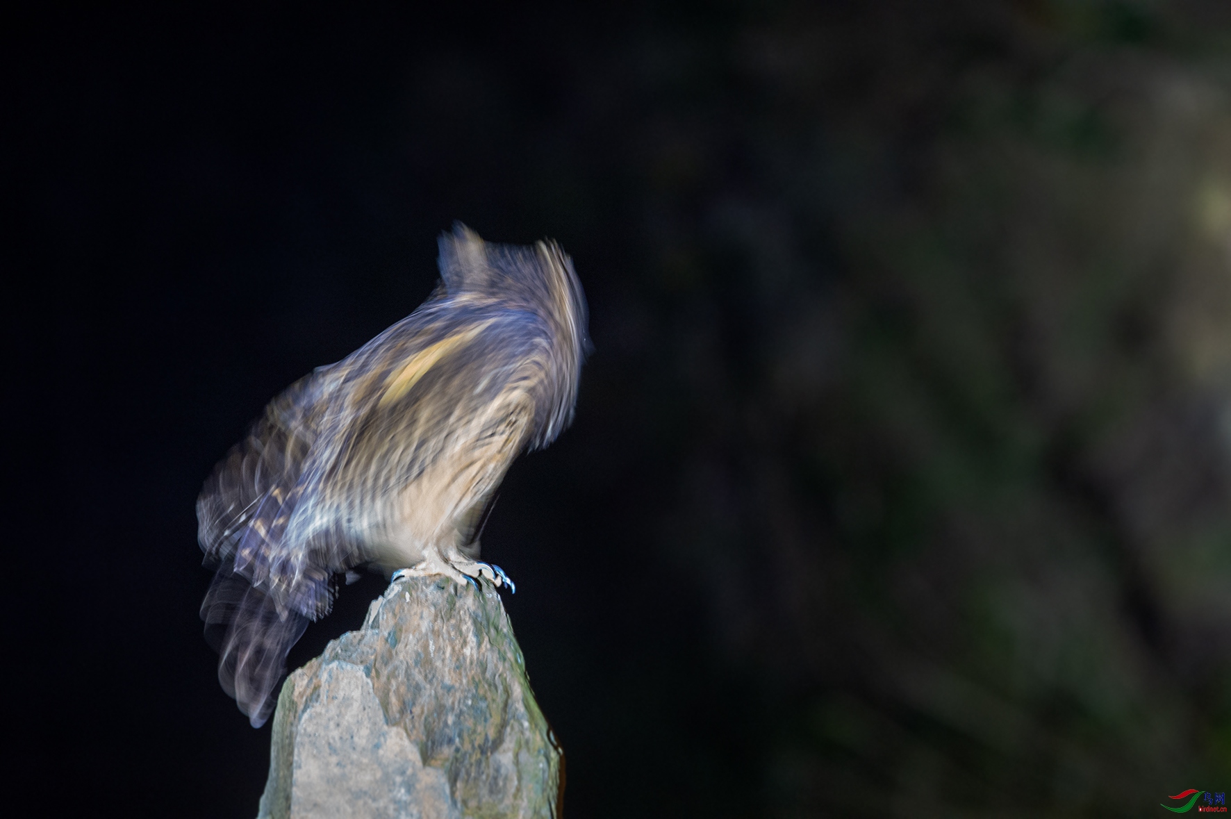DSC_9763.jpg