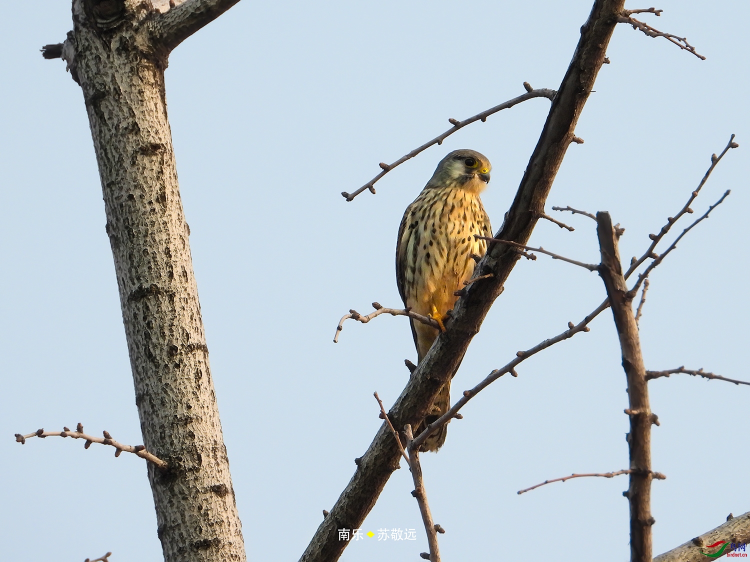 DSCN0351СС.jpg